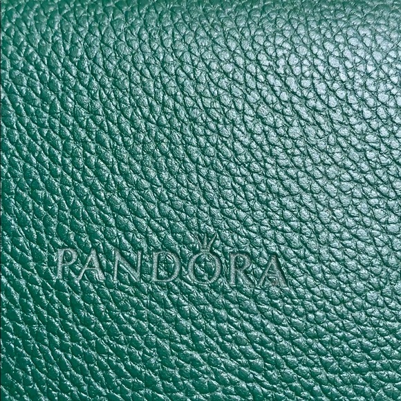 Pandora Pave Clasp Bracelet w/Shining Path Clips - Picture 3 of 5